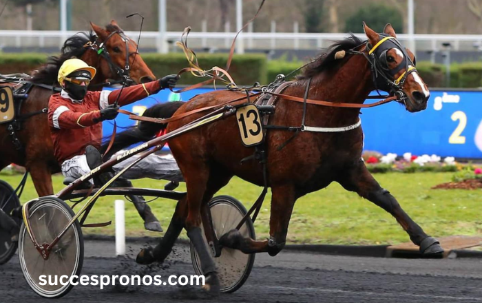 Meilleur Pronostic 3 Chevaux