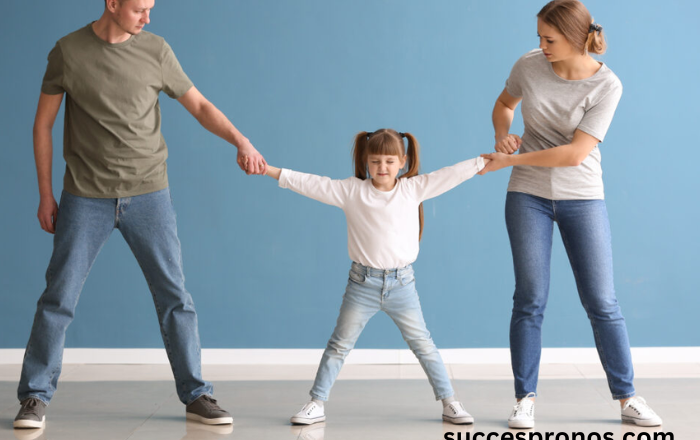 Navigating Child Custody Disputes: Ensuring the Best Interests of the Child