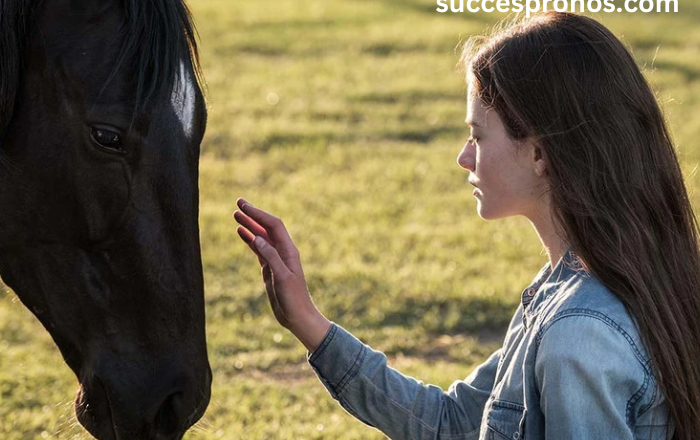 The Majestic Horse: Understanding Equine Beauty and Behavior