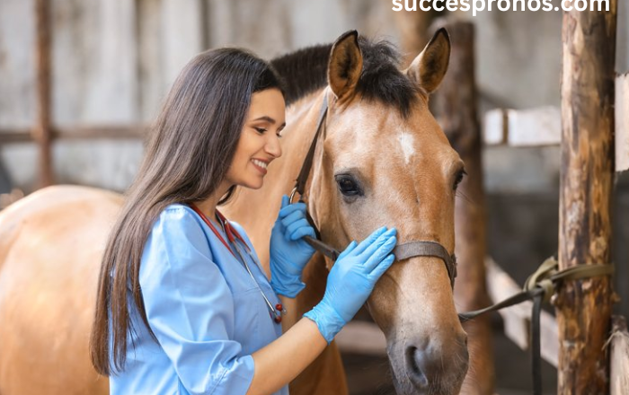 Horse Care Essentials: From Nutrition to Training Techniques