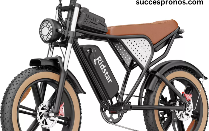 Best Fat Tire Electric Bikes from Ridstar