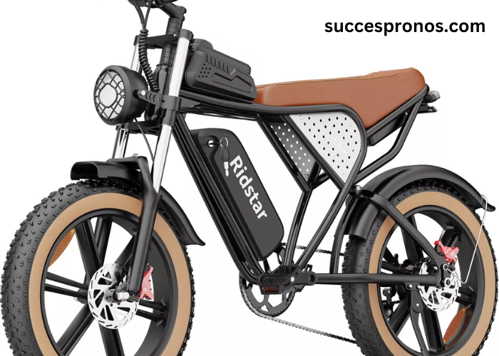 Best Fat Tire Electric Bikes from Ridstar