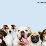 The Socialisation Benefits of Puppy Preschool