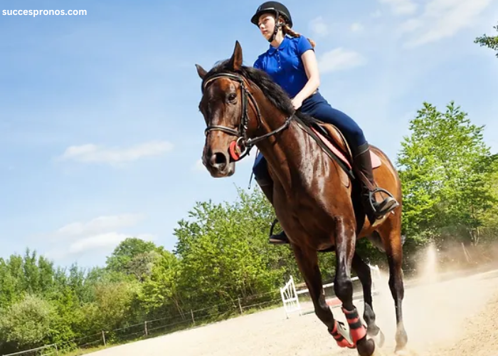 Un Cheval Par Jour