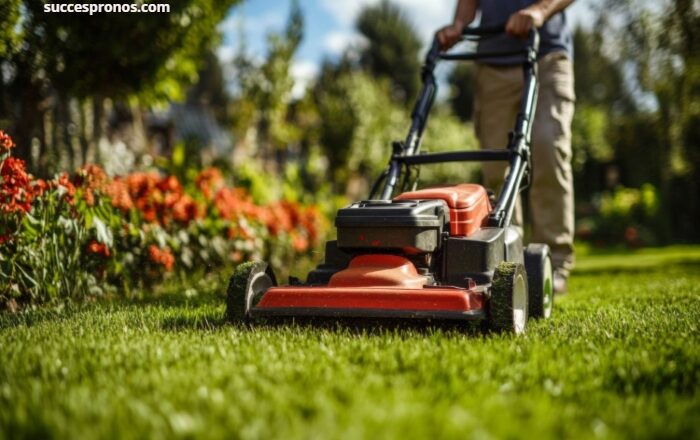 Strategies for Staying Ahead of the Seasonal Lawn Care