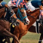 The Evolution of Field Service Management in Horse Racing