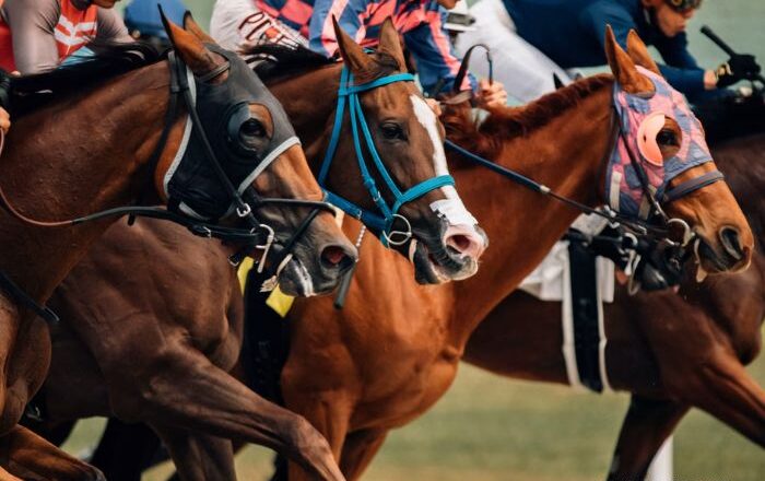 The Evolution of Field Service Management in Horse Racing