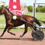 100pour100quinte Sur