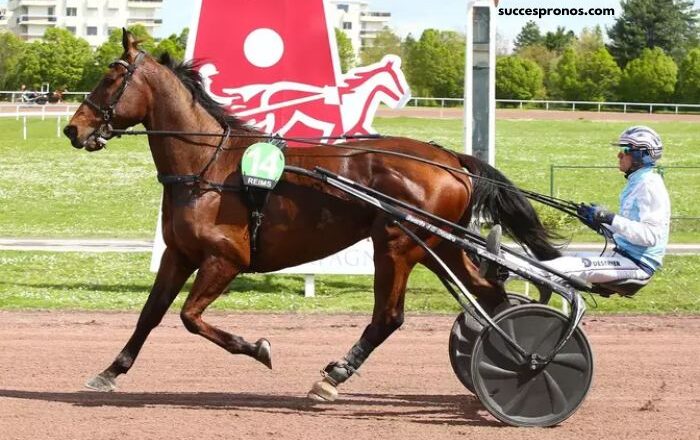 100pour100quinte Sur