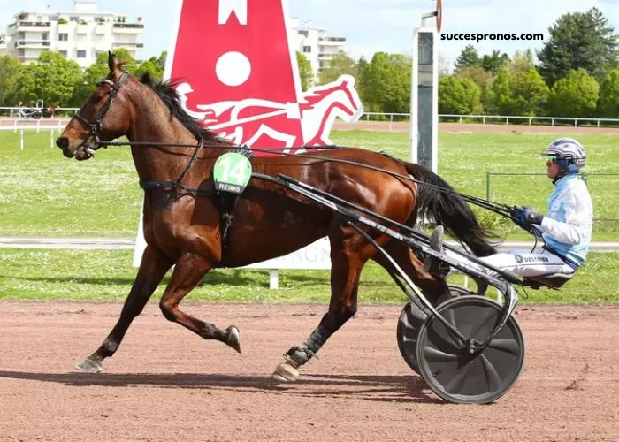 100pour100quinte Sur