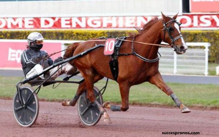Gagnant Turf Vip