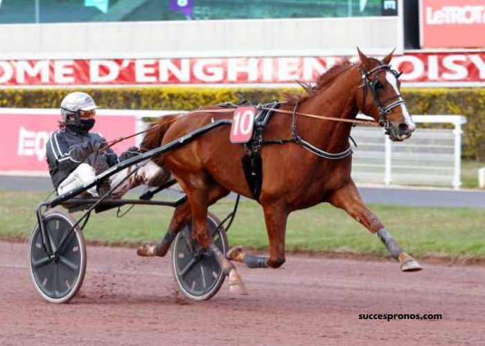 Gagnant Turf Vip