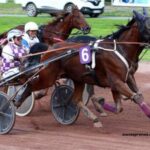 LA Voyeuse Sur