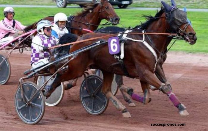 LA Voyeuse Sur