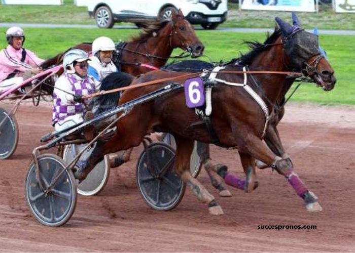 LA Voyeuse Sur