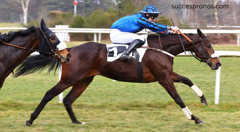 La Voyeuse Sur : Pronostics PMU, Champion du Jour et Guide Complet pour Bien Utiliser le Site