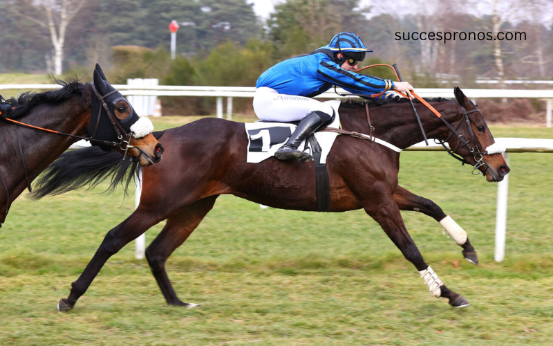 LA Voyeuse Sur