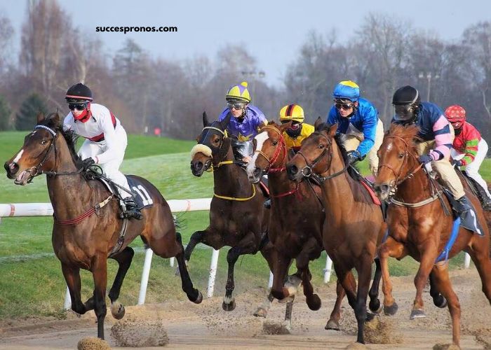 Le Journal Du Parieur (