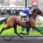 Cheval DE Base Prono