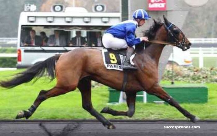 Cheval DE Base Prono
