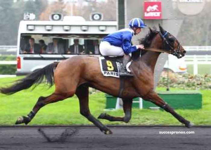 Cheval DE Base Prono