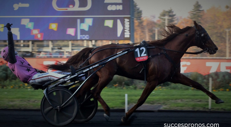 Cheval de Base Prono : Comment Identifier le Pivot Gagnant de Vos Paris PMU
