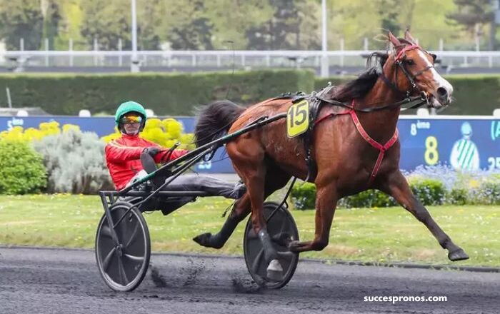 Equidia Du Jour