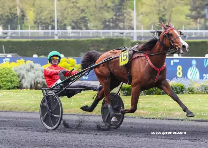 Equidia Du Jour