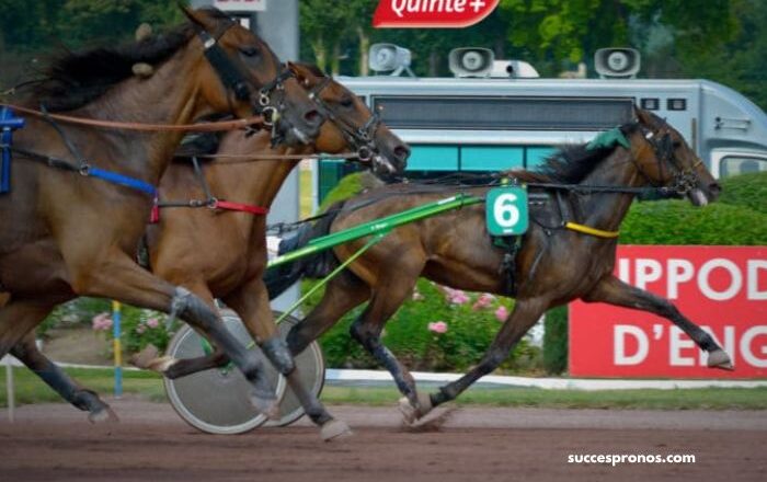 Resultat Quinté Du Jourles Interdits Au Tiercé