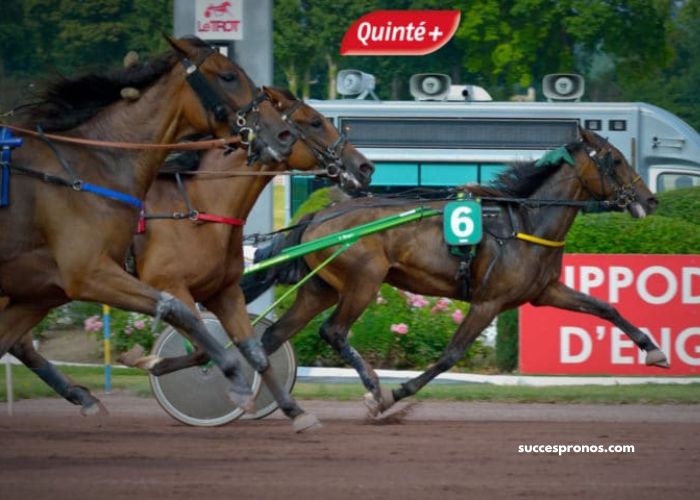 Resultat Quinté Du Jourles Interdits Au Tiercé