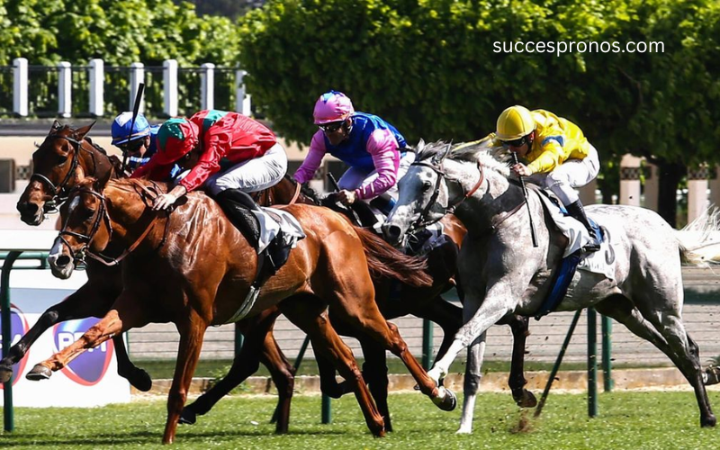 Resultat Quinté Du Jourles Interdits Au Tiercé