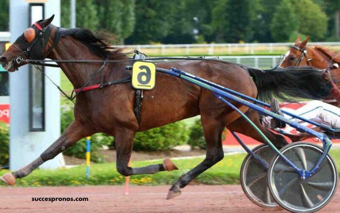 Tierce100pour100 Sur