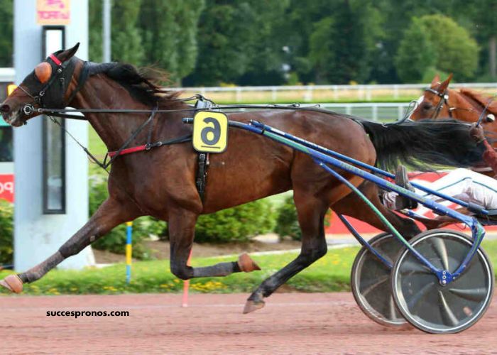 Tierce100pour100 Sur