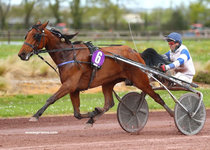 Gain Pmu Aujourd’hui