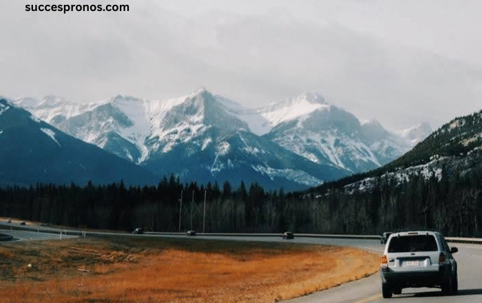 Planning a Road Trip? Tips to Make Your Journey More Practical