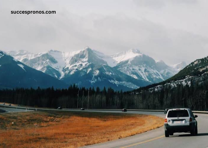 Planning a Road Trip? Tips to Make Your Journey More Practical