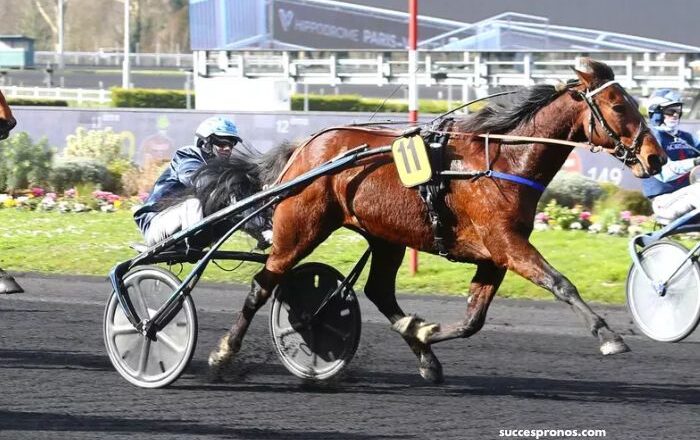 Quinte Du Net – Les Chevaux à Suivre pour le Quinté