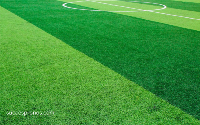lechatelet turf