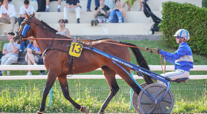 pmumalin derniere minute base incontournable quinte