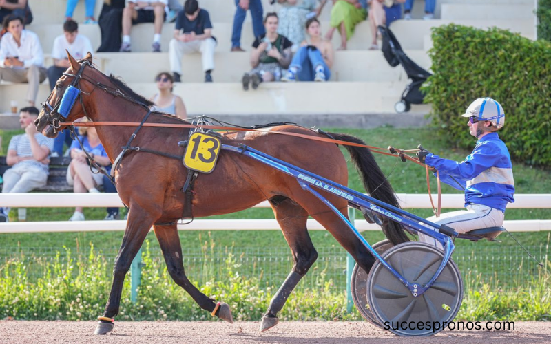pmumalin derniere minute base incontournable quinte