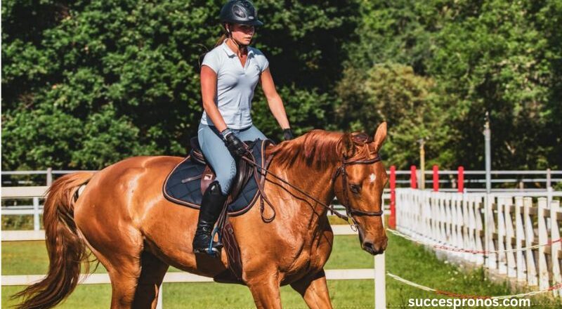 InfoOrdre – Les Chevaux à Suivre et à Écarter