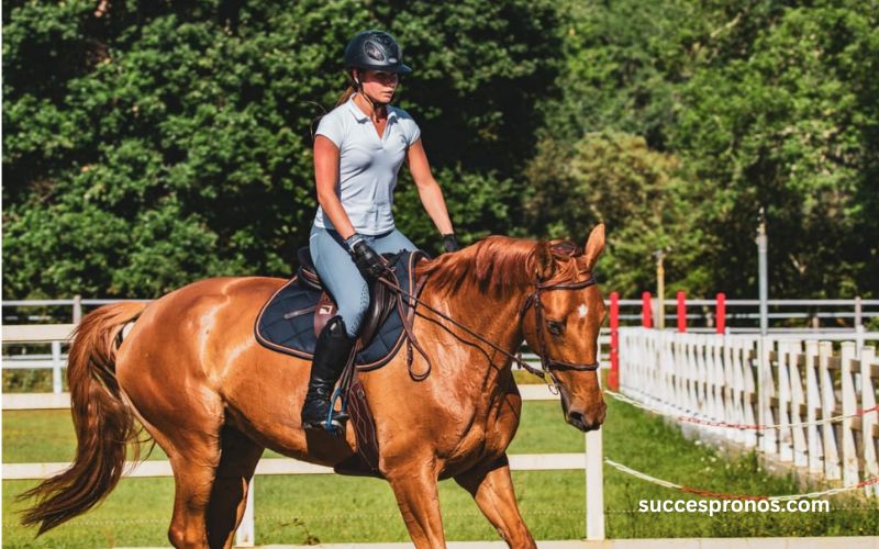 InfoOrdre – Les Chevaux à Suivre et à Écarter